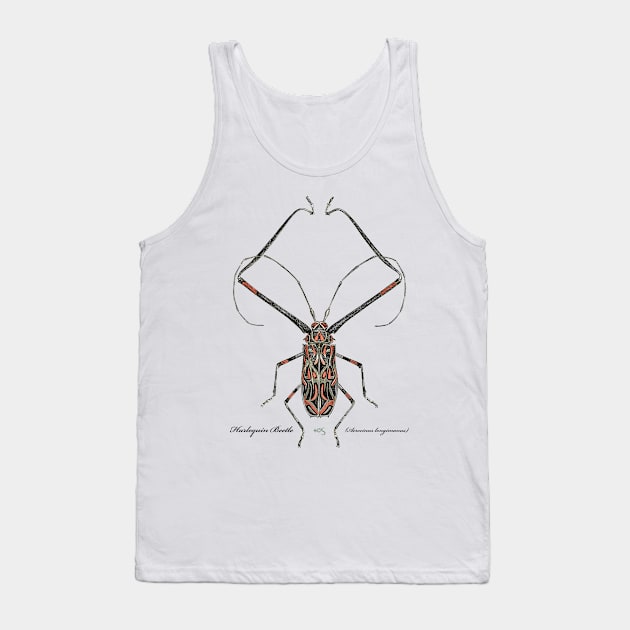 Harlequin Beetle - 2 Tank Top by 40degreesSouth